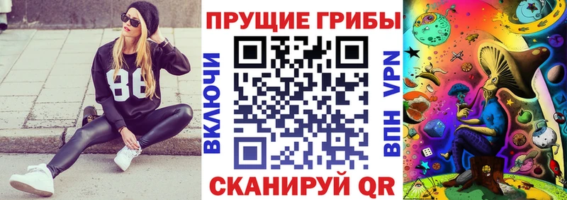 купить наркотики цена  Никольское  Псилоцибиновые грибы мухоморы 